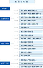 组织结构图 组织结构图