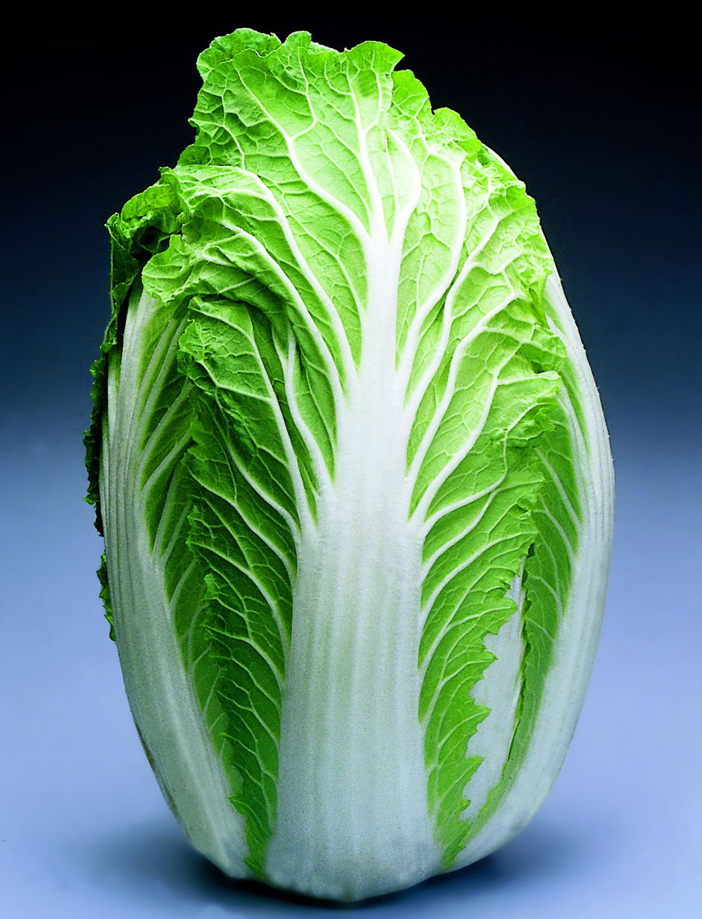 green chinese cabbage